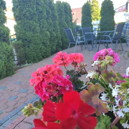 Bosman - - شقة Dziwnów