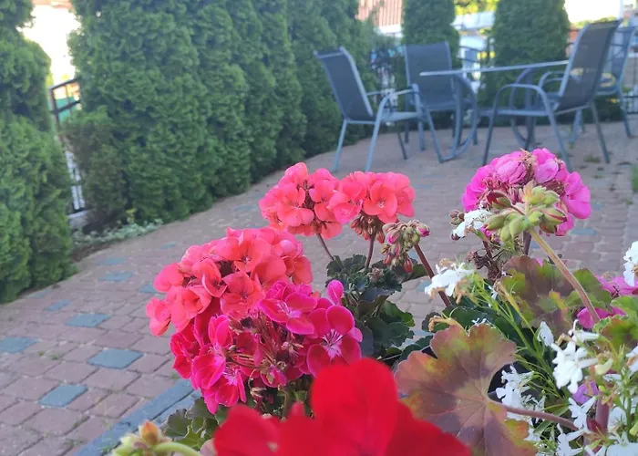 Bosman - - דירה Dziwnów